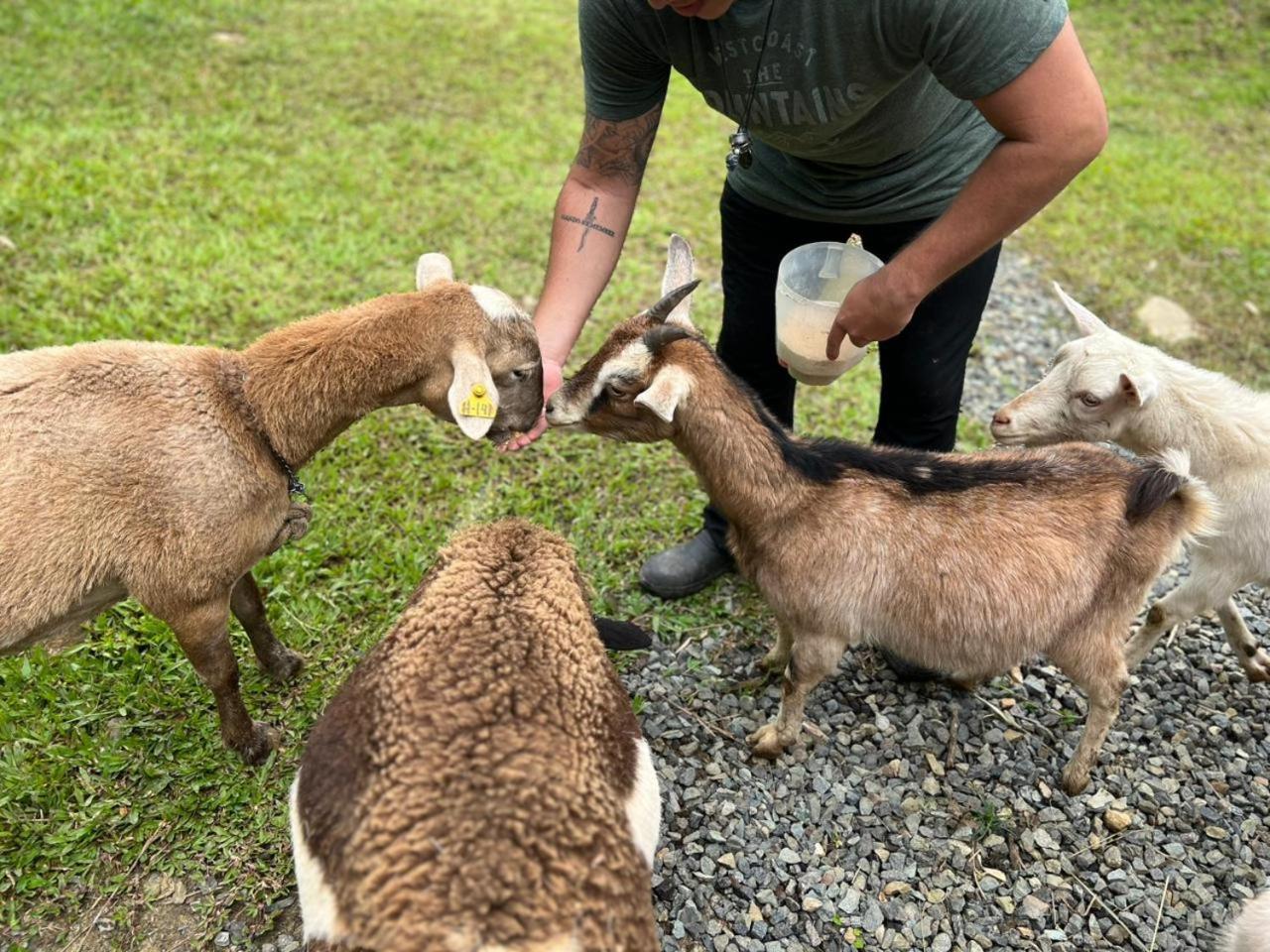 Hotel Rivel - Restaurant & Nature Retreat トゥリアルバ エクステリア 写真